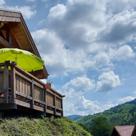 Renard 1b1 Renard 1b1