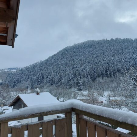 !Le Renard sneeuw balkon !Le Renard sneeuw balkon