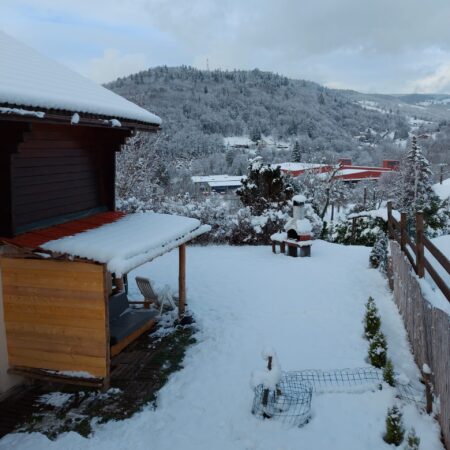12 Herison sneeuw vanuit boven 12 Herison sneeuw vanuit boven