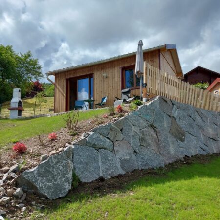 10 salamandre 10 salamandre