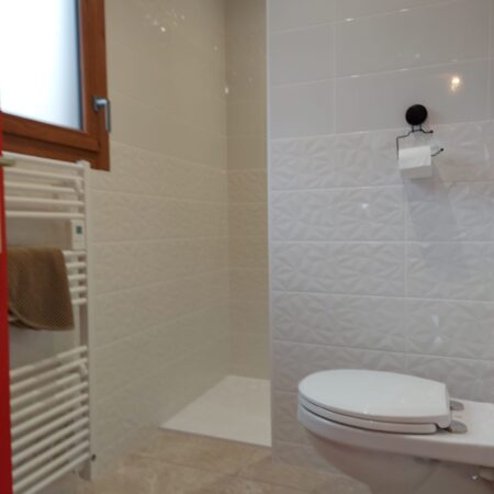 5 salamandre 5 salamandre