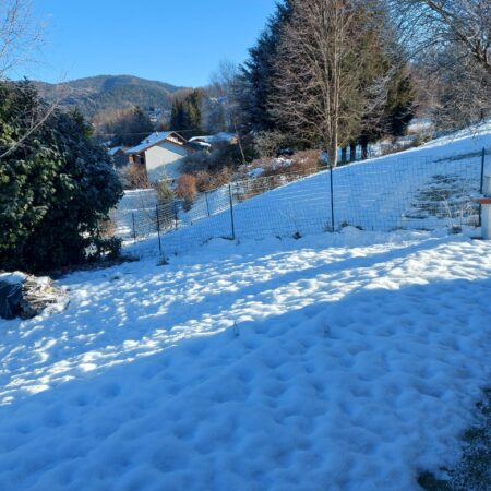 12 salamandre 12 salamandre