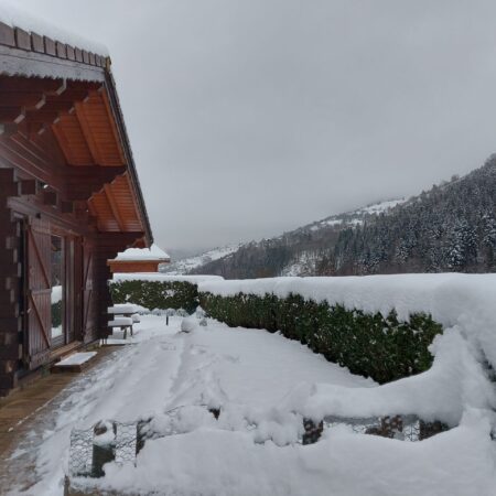 1a Chamois 1a Chamois