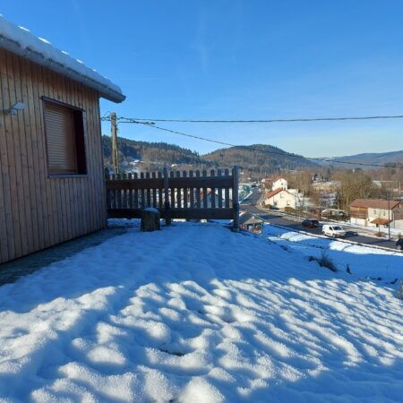 1a salamandre 1a salamandre